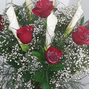 Meet your Posher, Priscilla